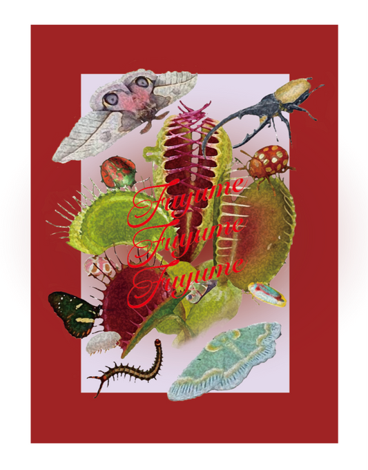 Venus Fly Sticker
